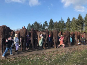 Akcja Zima - Turnus II - zdjęcie z turnusu