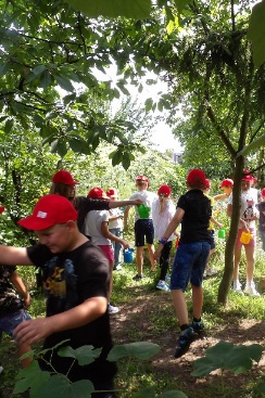 Akcja Lato - Turnus 4 - zdjęcia