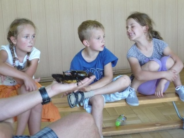 Półkolonie 26-27.07.2012