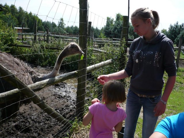Półkolonie 30-31.07.2012
